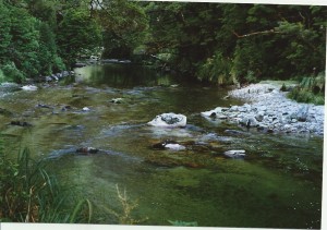 MILFORD CREEK