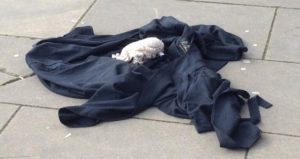 DISCARDED ROBE